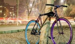 石家庄单车爆料案件最新,真相与争议交织的骑行疑云